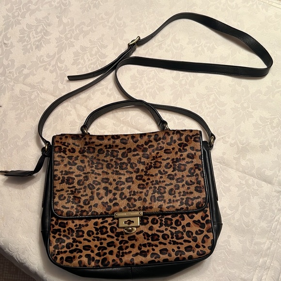 Fossil - Picture 9 of 10